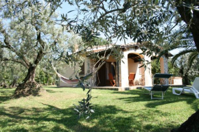 Casetta sulla Bolgherese immersa nel Verde Castagneto Carducci